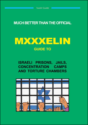 cover of MXXXELIN Guide